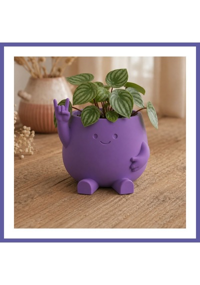 Bezos 3d Baskı Smiley Face Planter - Gülümseyen Karakterli Saksı-mor Nıda