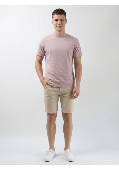 Regular Fit Erkek Tshirt K.kol Pale Pink