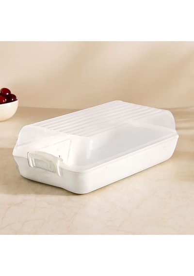 Şeffaf Kapaklı Buzdolabı Organizeri 320x183x103 Mm Renkli