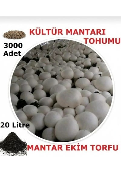 20 Litre Kültür Mantarı Ekim Torfu Ve 3000 Adet Kültür Mantarı Tohumu
