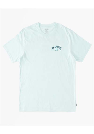 Billabong Arch Fill Ss Erkek Tişört Abyzt01696-Sgl