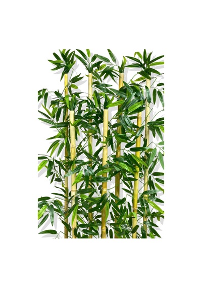 Cihan Çiçekçilik Bambu Seperatör 7 Adet Bambu Yoğun Yaprak 120 Cm 54x20x120 Yeşil