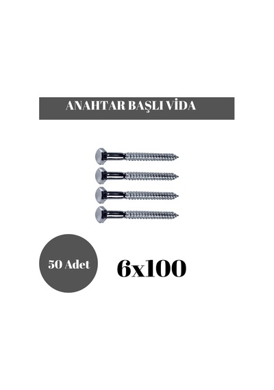 Trifon Vida 6x100 Mm Altı Köşe Anahtar Başlı Vida 50'li Paket 6 x 100 MM