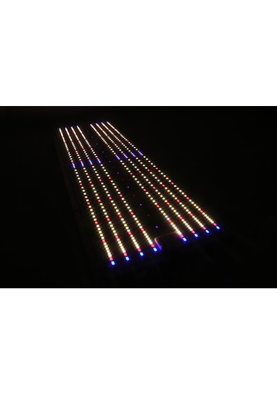 240w Quantum Board Bitki Yetiştirme Lambası Full Spektrum