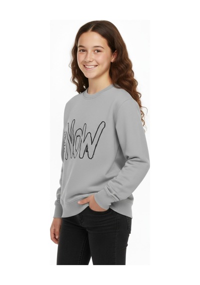 Kız Çocuk Baskılı Sweatshirt Bgl-st05267 Gri