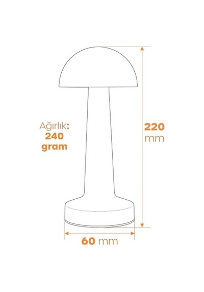 Şarjlı Masa Lambası 3 Kademeli Dimmer Dokunmatik Type-c Usb Güneş Enerjili Siyah Metal Gövde 31 Cm Çok Renkli