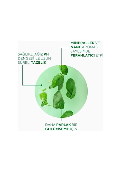 The Ceel Fresh Mint Ferahlatıcı Diş Macunu 75 gr – Nane Aromalı, Günlük Koruma
