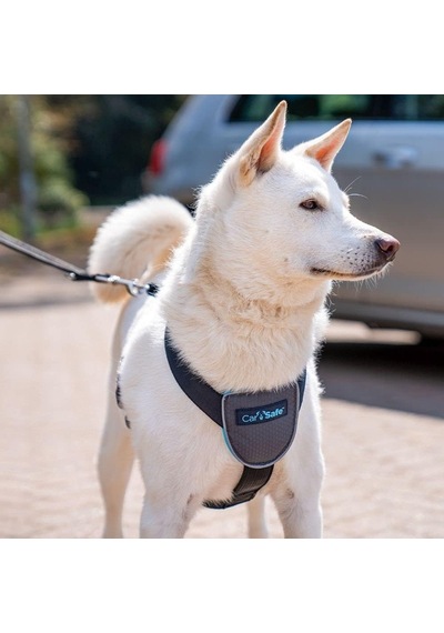 Company Of Animals Carsafe Köpek Harness Araba Seyahat Göğüs Tasması, Medium Siyah
