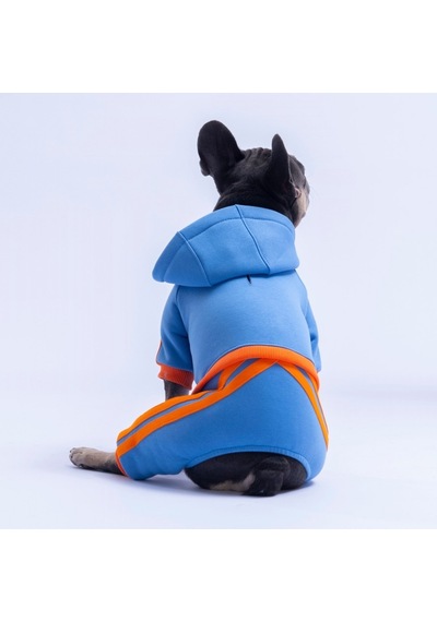 Mavi Denver Track Tulum Köpek Tulumu Köpek Kıyafeti Köpek Eşofmanı Kedi Kıyafeti