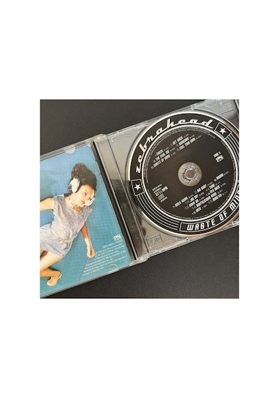 Zebrahead Waste Of Mind Cd