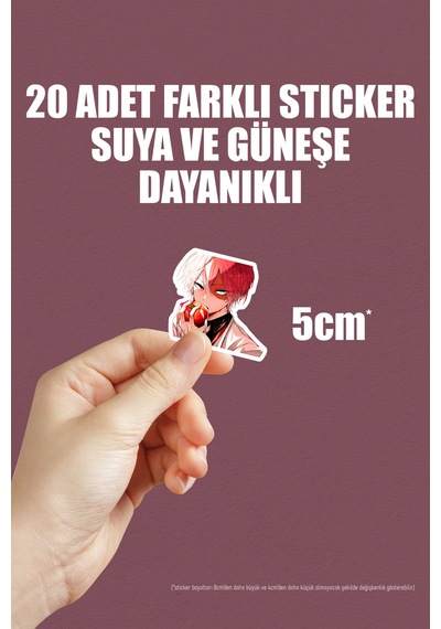 Shoto Todoroki Anime Sticker Paketi 20 Adet My Hero Academia Çok Renkli
