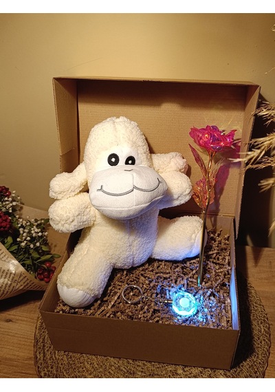 Kutulu Hediye Seti / Peluş Kuzu 24cm - Renk Değiştiren Işıklı Anahtarlık - Sonsuzluk Gülü