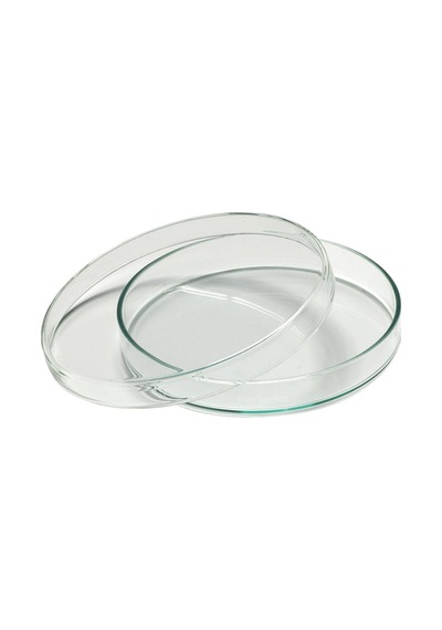 Borox Kapaklı Cam Petri Kabı 75 x 15 MM