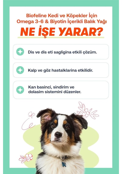Biofeline Fish Oil Ve Omega 3 Ve 6 İçerikli Balık Yağı Ve Kedi Ve Köpekler İçin Tüy Ve Genel Zindelik Tamamlay