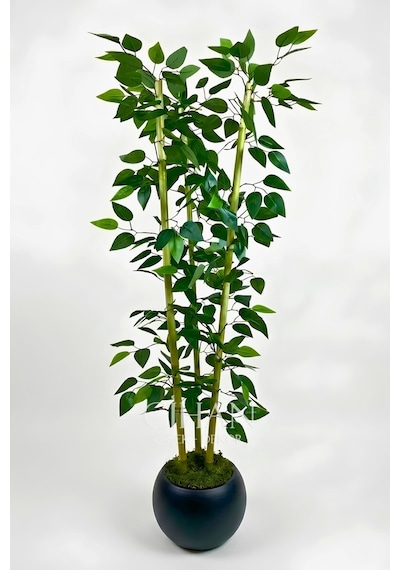 Yapay 3 Bambulu Benjamin Ağacı 110 Cm - 27 33 Siyah Küre Saksılı Beyaz