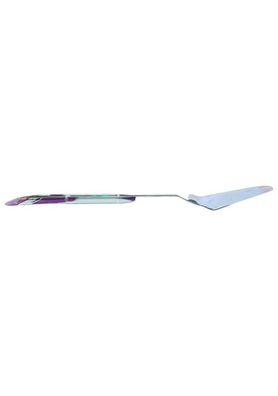 Çubuk Servis Spatula Çelik Metalik Diğer