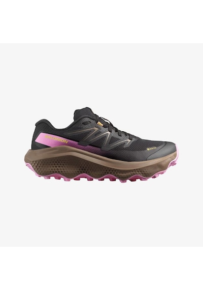 Salomon Ultra Flow 2 Gtx Kadın Outdoor Koşu Ayakkabısı L47884400 Siyah Siyah