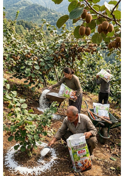 Agroplant Çotanak Bzn Gübre 10 Kg