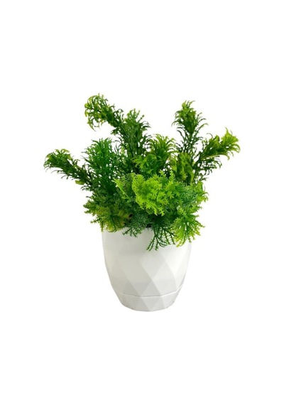 Yapay Çiçek Beyaz Saksıda Fesleğen Dekoratif Masa Çiçeği 25Cm