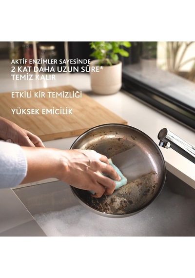Pro Clean Aktif Enzimli Düz Sünger, 3 Lü Paket