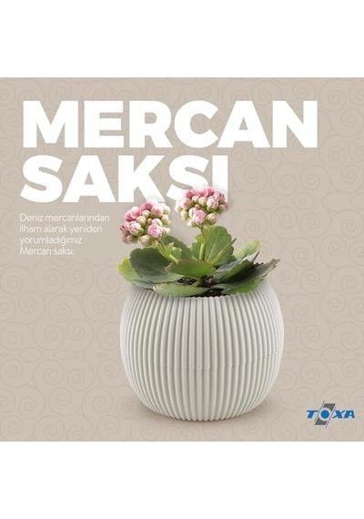 Mercan Saksı Set Dekoratif Drenajlı Çizgili Mat 6 Parça, Bej