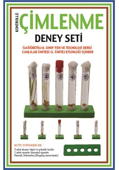 Çimlenme Deney Seti Okul Proje Fen Ödev Deneyi