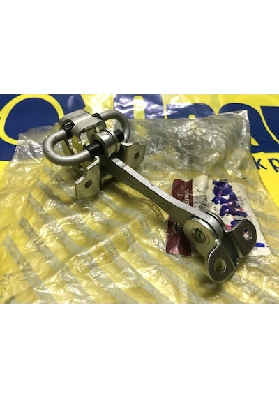 Palio Albea Arka Kapı Gergi Yayı 51803056