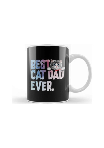Best Cat Dad Ever Costume Gift Kupa Bardak Porselen Karışık
