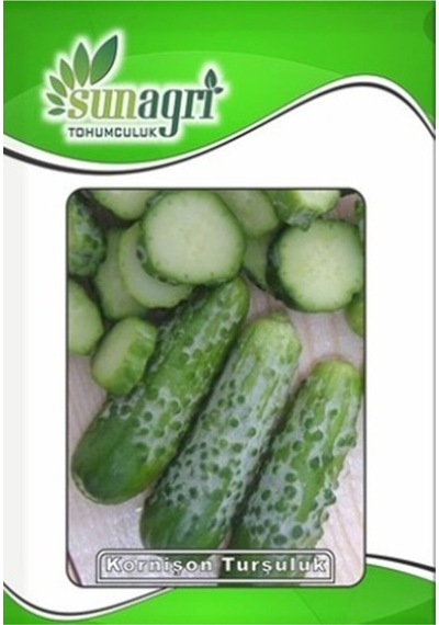 Turşuluk Kornişon Salatalık Tohumu 3 Gr. - 4 Saksı+torf Hediye