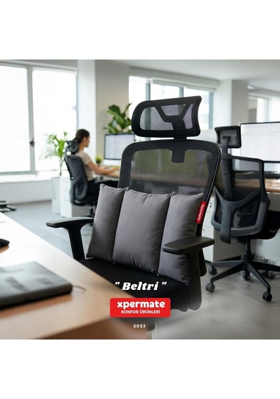 Beltri Bel Destek Yastığı Üç Bölümlü Bel Sırt Destek Minderi Yıkanabilir Ofis Araç Koltuk Yastığı Antrasit Genel