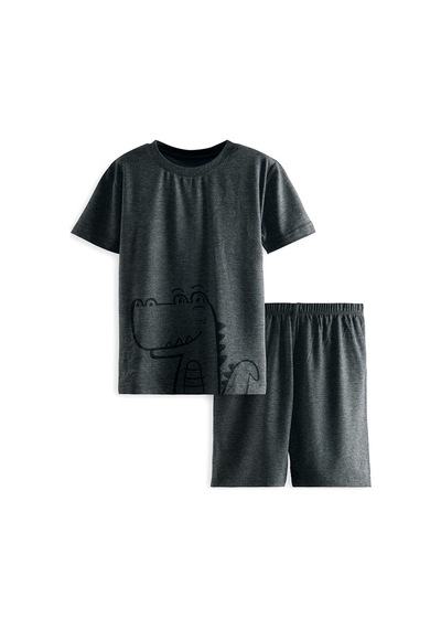 Denokids Dinozor Erkek Çocuk Gri Alt Üst Pijama Takım Renkli Çok Renkli