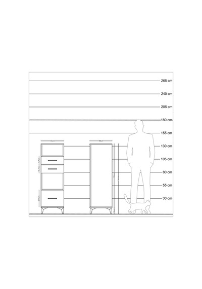 Kronos Dolap 2 Raflı 3 Çekmeceli 44x59x134 Antrasit-antrasit Antrasit