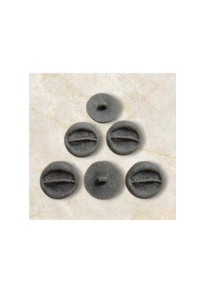 Fosil Kemik Düğme Alttan Dikim 2,5 Cm 3 Adet - 691765536