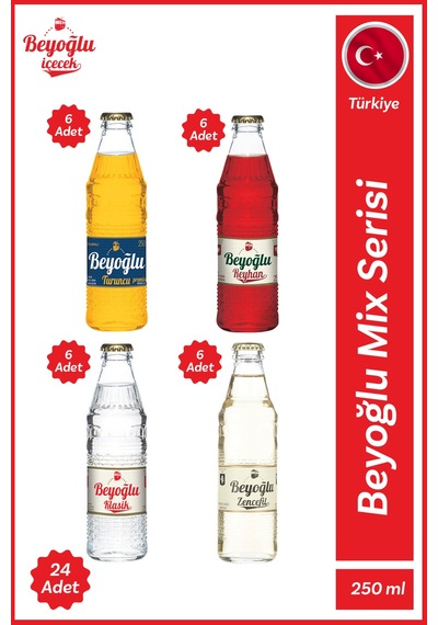 Gazlı İçecek Mix-2 24x250 Ml
