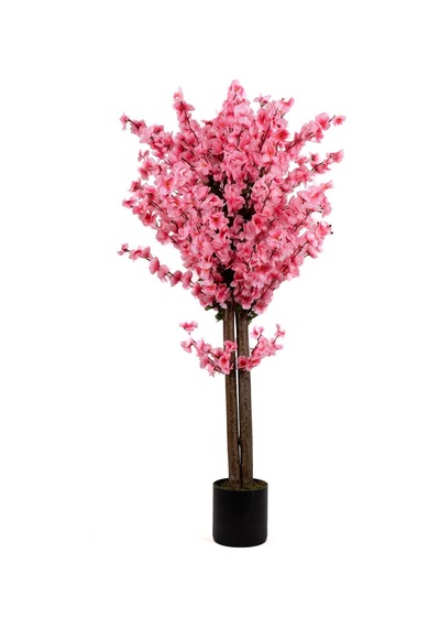 120 Cm Pembe Bahardalı Ağacı