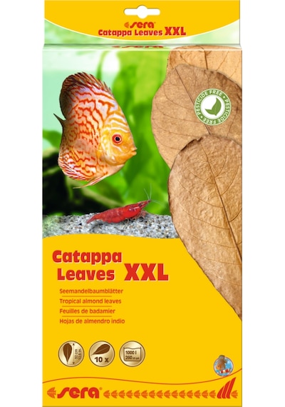 Sera Catappa Yaprağı Xxl 32 Cm 10 Adet