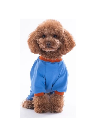 Pawstar 26901 Mavi Ducks Küçük Irk Köpek Pijama Tulum