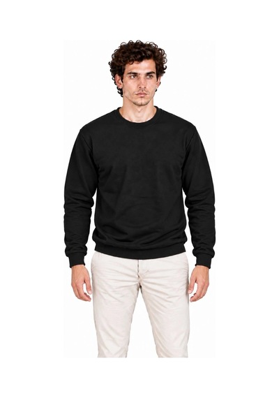 Erkek Bisiklet Yaka İçi Şardonlu 2 İplik Düz Uzun Kollu Regular Fit Sweatshirt - Siyah Çok Renkli