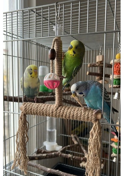 Mivra Pets Çok Fonksiyonlu Kuş Oyuncağı Jüt Tünek 40x25 Cm