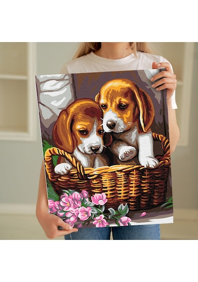 Sayılarla Boyama Seti 40 x 50 CM Tuval Şasesine Gerili Yavru Köpekler