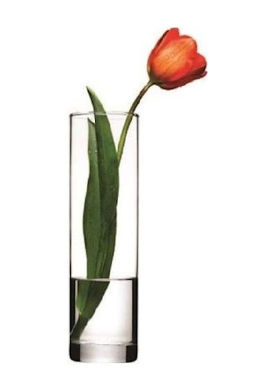 Paşabahçe 43767 Flora Cam Vazo 26 Cm