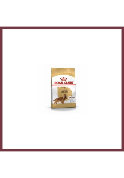 Storeşahin Cocker Spaniel Adult Yetişkin Köpek Maması 3 Kg Shn0720