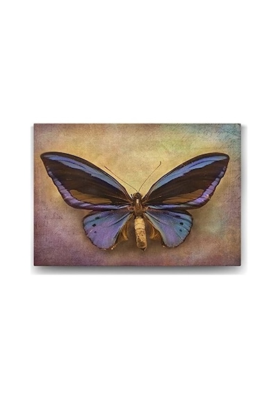 Modern Kelebek Tablo - 100x70cm 7/8 Yaş