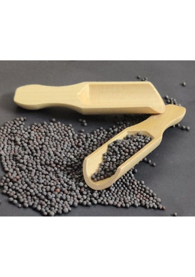 12 Adet Mini Kürek Baharat Kaşığı Bej Bej