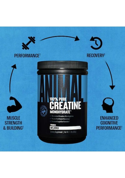 Universal Animal Creatine Monohydrate Monohidrat 500gr - 100 Serv