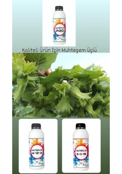 Ayrex Tüm Sebze Meyve Ağaçları Çiçeklendirici Yaprak Coşturucu Zeytin Bağ Fındık 5 Lt Bitki Besini 0,250