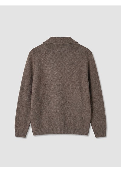 LC Waikiki Lc Waıkıkı Bej Regular Fit Ceket Yaka Erkek Triko Hırka