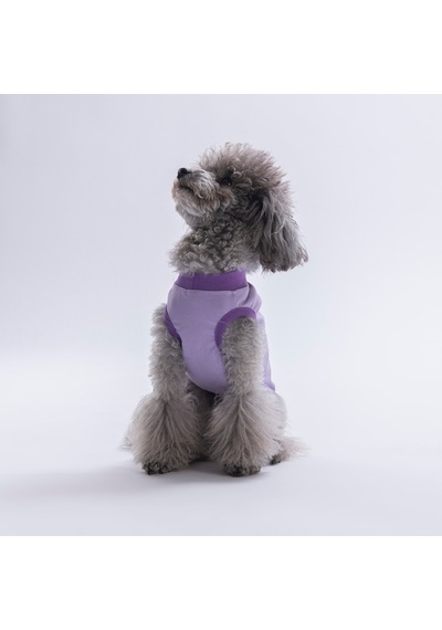 Lilac-lila Small Things Tişört Kedi Köpek Tişörtü-kedi Köpek Kıyafeti