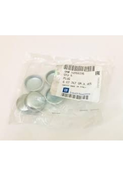 Blok Su Tapası Tüm Modeller 25 Mm Gm 12855195 Gm 12855195