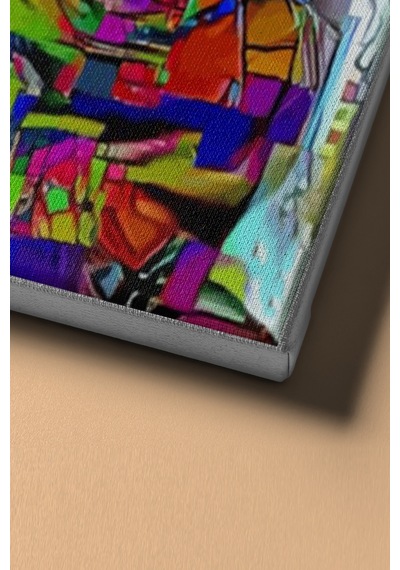 Webstyle Sayılarla Boyama Seti Kasnaklı Rengarenk Kedi 50 X 65 Cm